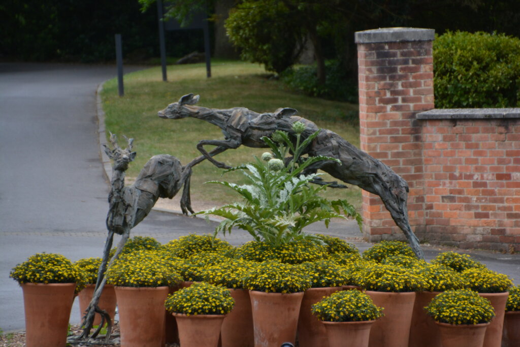 Chewton Glen Hotel & Spa animals 