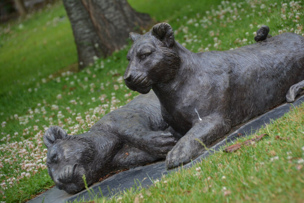 Chewton Glen Hotel & Spa