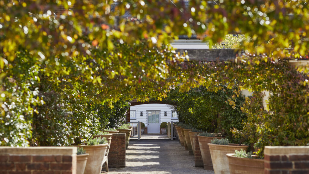 lime wood spa